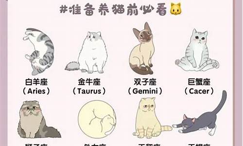 十二星座 水晶_十二星座水晶猫咪