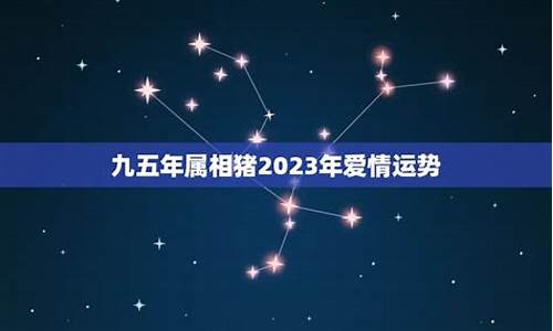 七月各星座运势_7月各星座运势